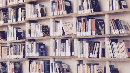 books-g3bd5a1fc3_1920.png